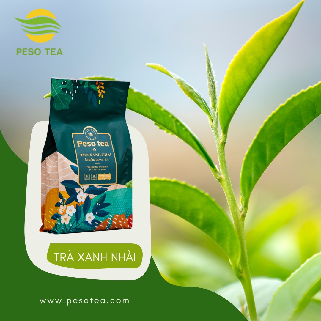 Nguồn gốc của các loại trà bạn cần biết hiện nay