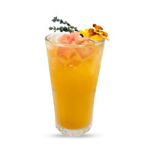 Camellia Quýt Bưởi