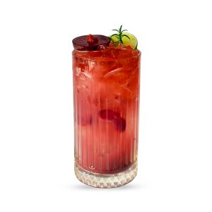 Plum Punch Gardenia