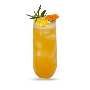 Trà Hoa Vương Miện Xoài Tắc