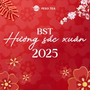 BST Hương Sắc Xuân 2025