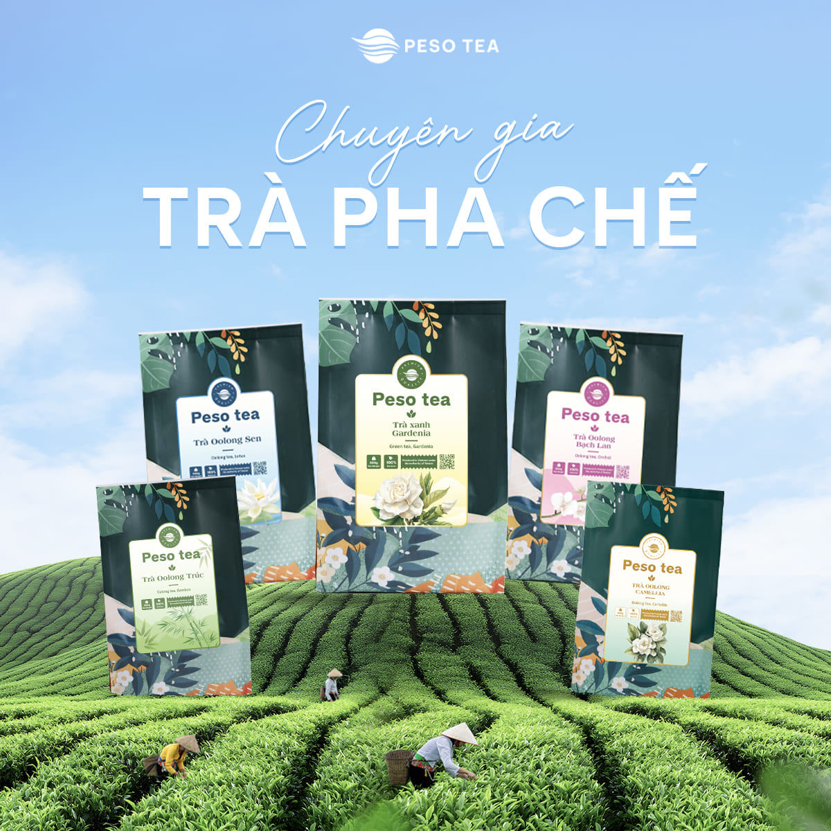Các dòng trà pha chế PESO với hương vị rõ nét, phù hợp cho xu hướng trà sữa đậm vị, giúp thương hiệu xây dựng menu đồ uống có bản sắc và chất lượng ổn định.